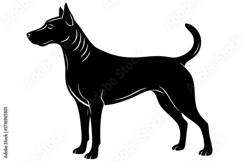 Vector art of thai ridgeback dog breed sillouette