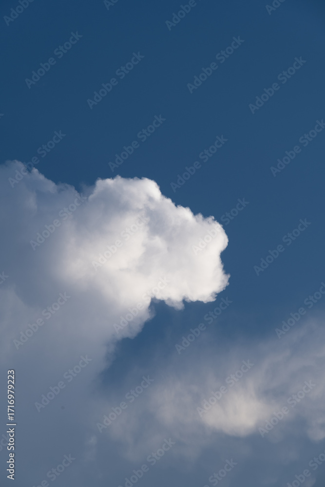 Obraz premium 日本の夏の入道雲と青い空
