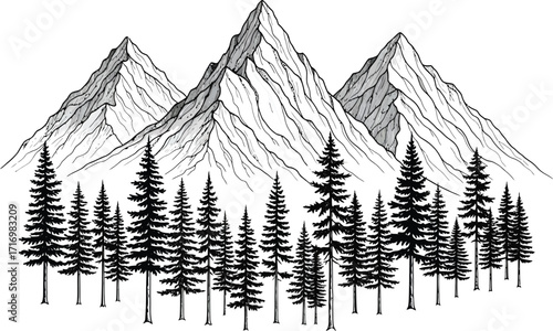 Hand drawn sketch of majestic snow capped mountains rising above a dense forest of pine trees