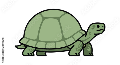 Adorable cartoon depiction of a turtle with a patterned shell isolated on a plain background image for children's book illustration