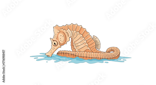 Whimsical Seahorse Illustration: A Detailed and Adorable Aquatic Creature on a Pristine Background