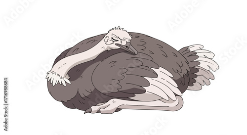 Cartoonish illustration of a sleeping ostrich, with its head tucked into its body in restful repose, a cute and gentle scene depicting peaceful