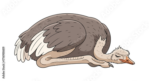 Stylized illustration capturing the peaceful slumber of a resting ostrich, with delicate detail and soft color palette displaying serenity