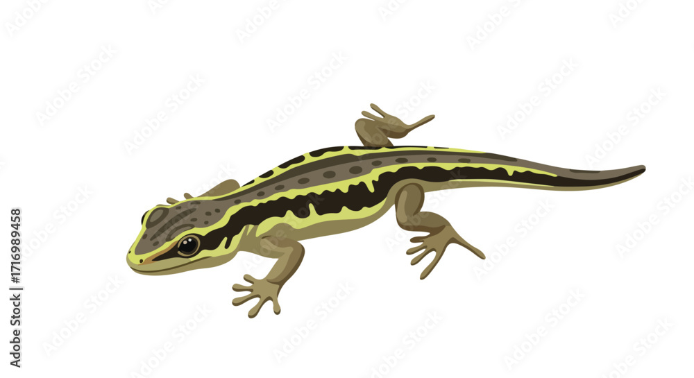 Naklejka premium Cartoon illustration of a slender lizard with distinct stripes against a plain backdrop displaying its unique appearance and natural colors