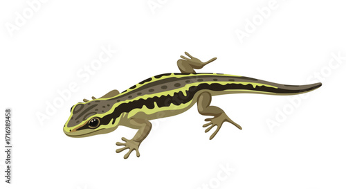 Cartoon illustration of a slender lizard with distinct stripes against a plain backdrop displaying its unique appearance and natural colors