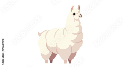 Stylized white llama illustration standing on a white background showcasing its fluffy wool and unique features in a simple design