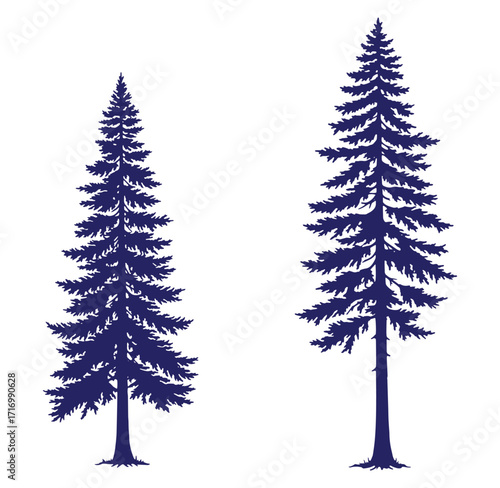Two vector illustrations of detailed spruce trees silhouetted in a deep blue color