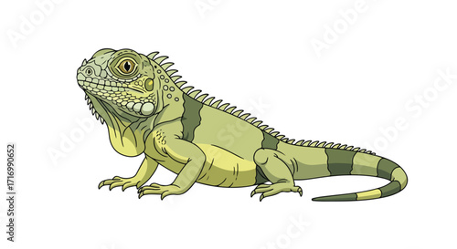 Illustrative rendition of an iguana with textured skin and spiked dorsal crest, a captivating reptilian study presented on a clean background