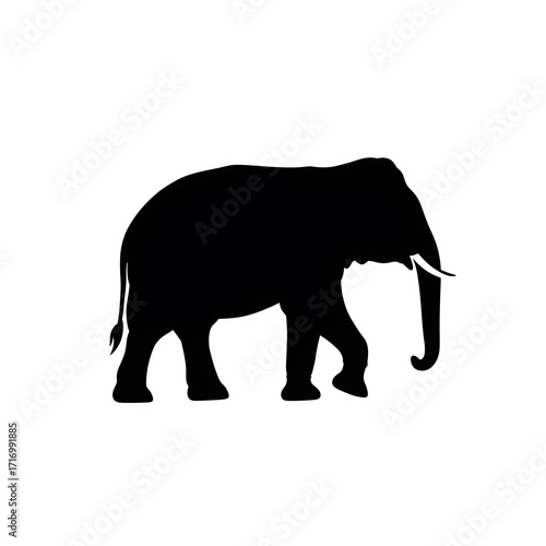 Elephant vector silhouette illustration on white background