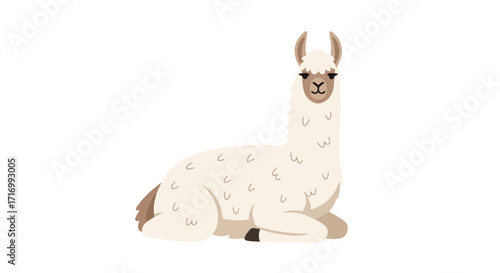 Elegant Llama Portrait: A Charming Cartoon Illustration of a South American Camelid in a Resting Posture