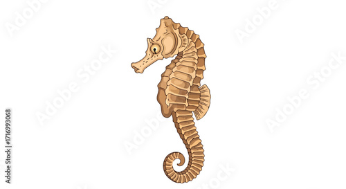 Stylized illustration of a seahorse with intricate anatomical detailing and a neutral color palette in a simple composition