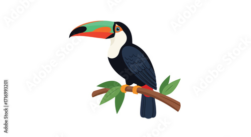 Colorful Toucan Perched on a Branch, A Tropical Bird Isolated on White Background, Simple Vector Illustration showcasing vivid hues and a clean