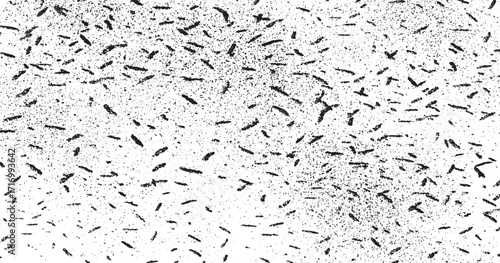 Distressed film grain texture abstract dirty dust speck grunge noise background vector. grain noise grain dot white paper noise texture with distress effect vector illustration pattern background.