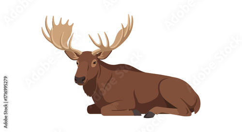 Resting Majesty: An Illustration of a Relaxed Moose with Sprawling Antlers on a White Backdrop