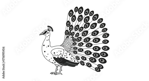 Elegant monochromatic peacock illustration with intricate feather detail and dotted plumage design featuring an artistic and aesthetic appeal