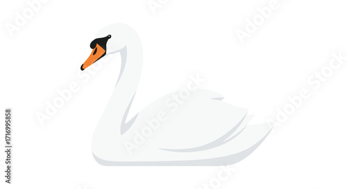 Elegant swan illustration with minimalist style perfect for logo or icon design isolated illustration