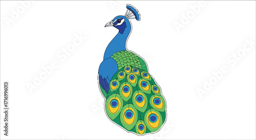 Elegant peacock artwork featuring vivid blue and green feathers presented on a stark white canvas providing a striking contrast of color and form