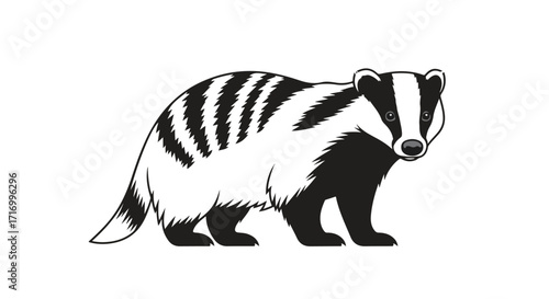 Striking Monochrome Badger Illustration: Bold Contrast and Detailed Fur Texture in Black and White Graphic Animal Depiction
