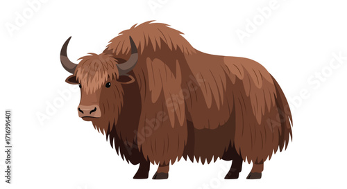 Majestic Cartoon Yak with Furry Brown Coat Standing on a White Background for Wildlife Illustrations