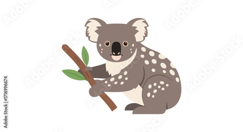 Cartoon koala clinging to a eucalyptus branch in a minimalistic vector illustration for children's books and educational resources