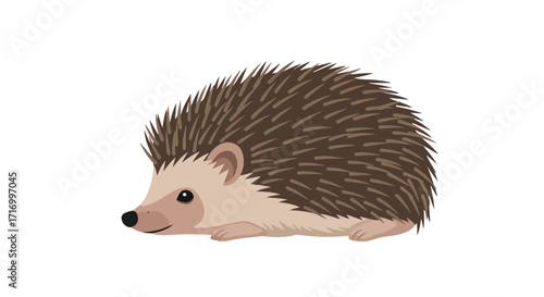 Illustration showcasing a charming hedgehog with detailed quills isolated against a clean white backdrop offering a delightful animal themed design