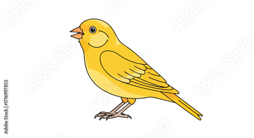 Cartoon illustration of a vibrant yellow canary perched gracefully, showcasing its delightful form with simple lines and colors that capture its