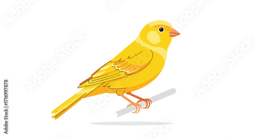 Illustrative canary perched on a branch, showcasing its vibrant yellow plumage against a clean white backdrop showing detailed features of the bird