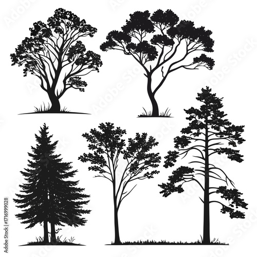 Assorted Tree Silhouettes on White nature forest