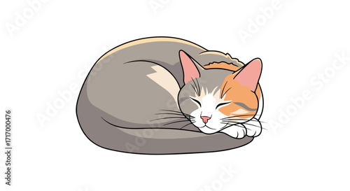 Illustration of a serene curled up cat, gracefully slumbering in peaceful repose on a white background with refined detail