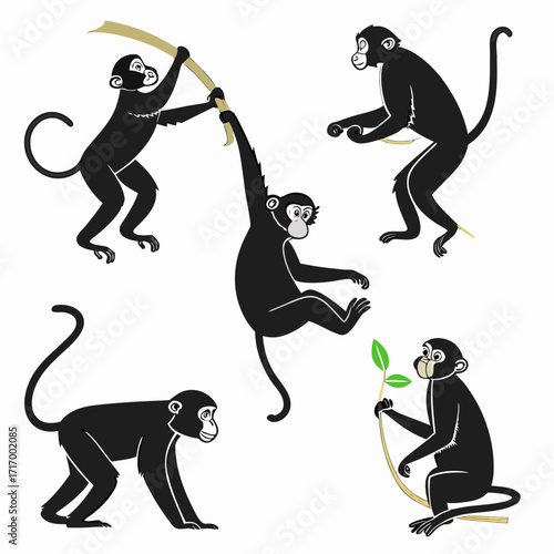 Five black monkeys swinging and holding branches Keywords: monkeys, animals, wildlife, primates
