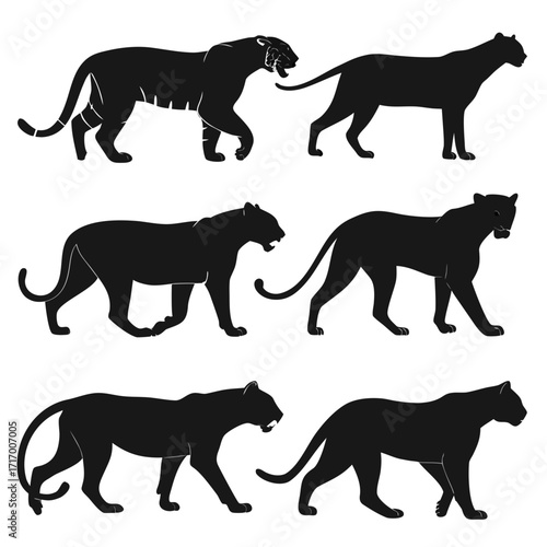 Six Silhouette Big Cats in Various Poses panther jaguar