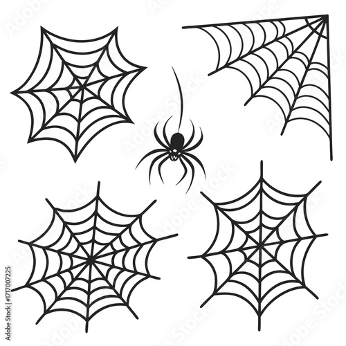 Spider and Spiderwebs on White Background Keywords: spiderweb, spider, arachnid, insect, creepy