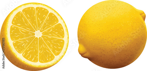 Vector Illustration Fresh lemon, sliced and whole, on a transparent background