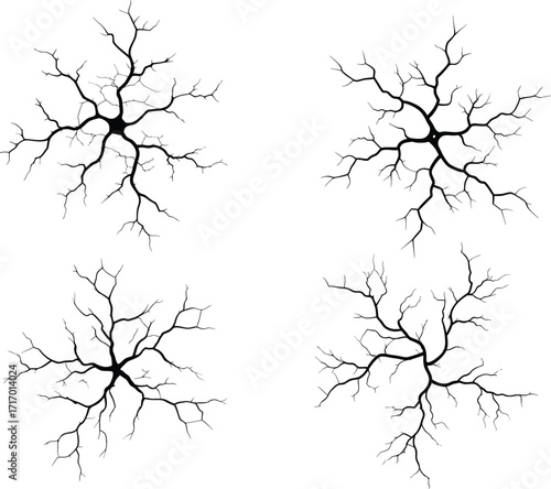 Crack vector illustration set for creative design. crack texture in black silhouette design element background abstract pattern detail visual effect