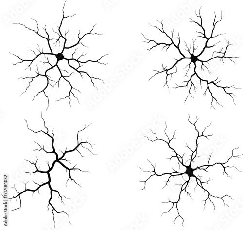 Crack vector illustration set for creative design. crack texture in black silhouette design element background abstract pattern detail visual effect