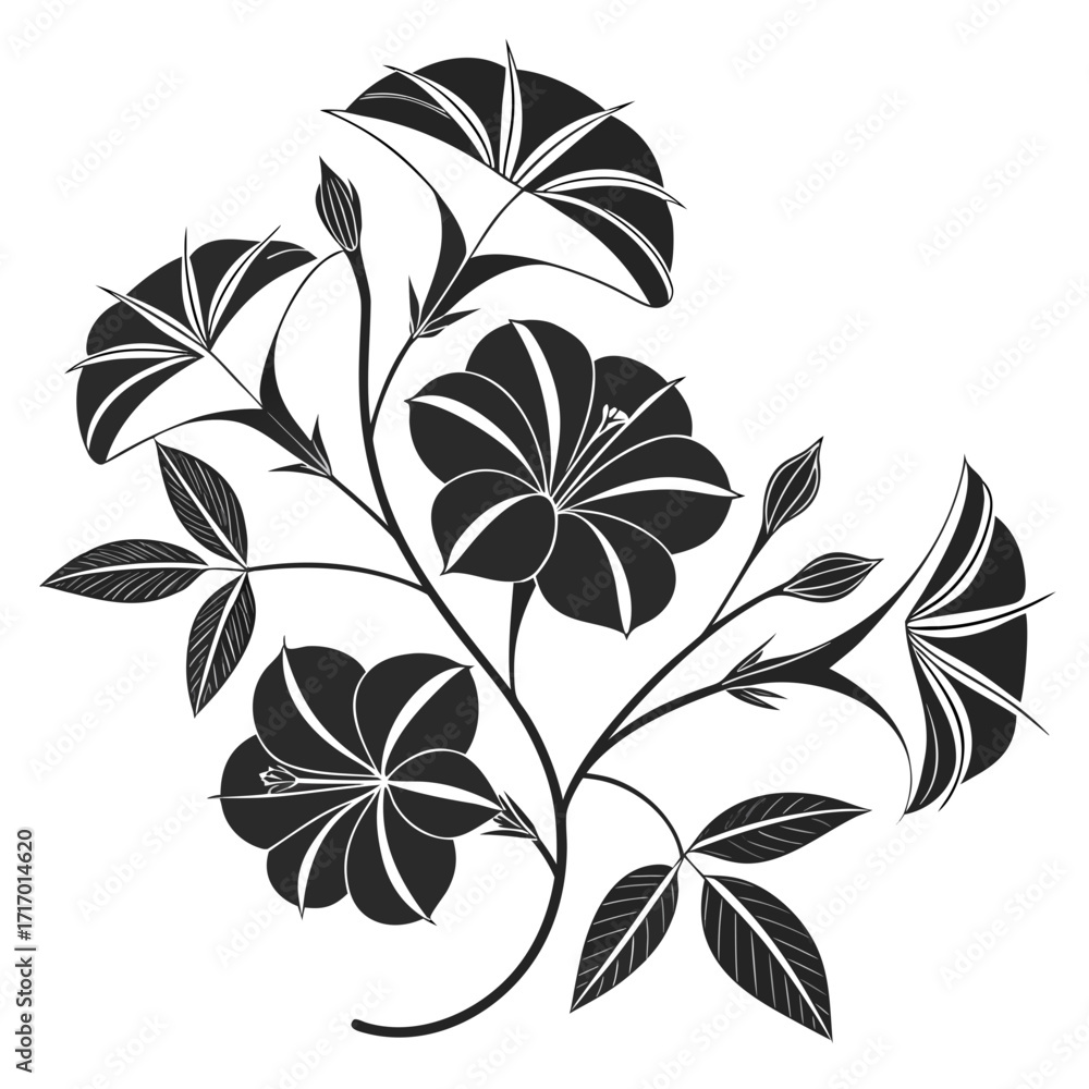 Obraz premium Black silhouette of blooming morning glory flowers and leaves