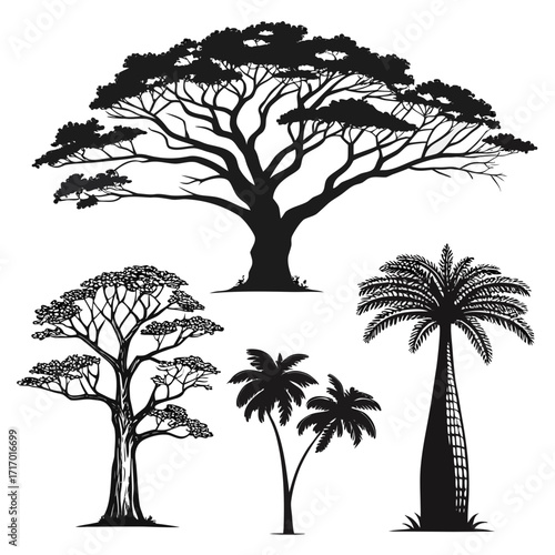 Ensemble of Silhouette Trees: Acacia and Palm Varieties