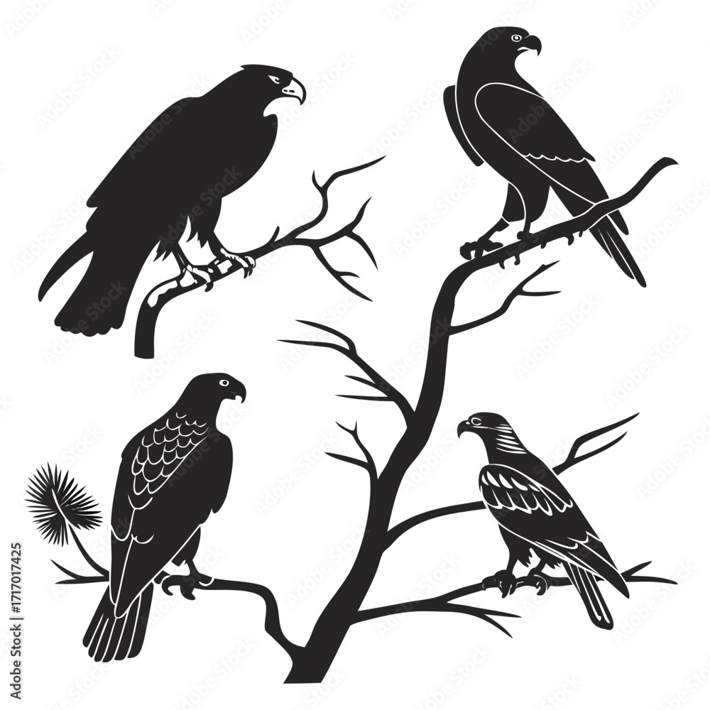 Fototapeta premium Four Bird Silhouettes with Feather Detail on Branches Keywords: bird, silhouette, eagle, hawk
