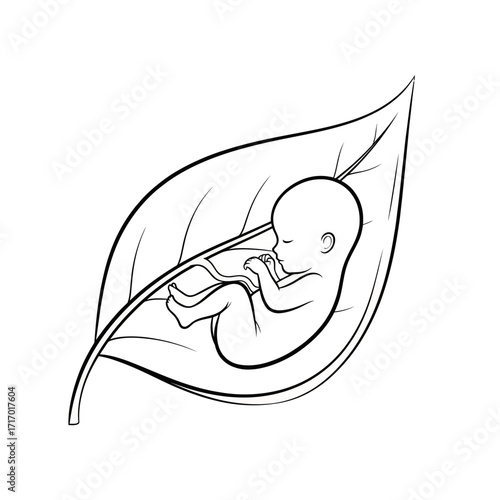 A minimalist black and white line drawing of a baby sleeping peacefully inside a protective leaf, symbolizing new life and nature.