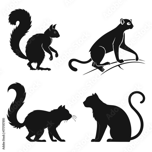 Four Black Silhouettes of Animals on White Background Keywords: squirrel, cat, lemur, animal