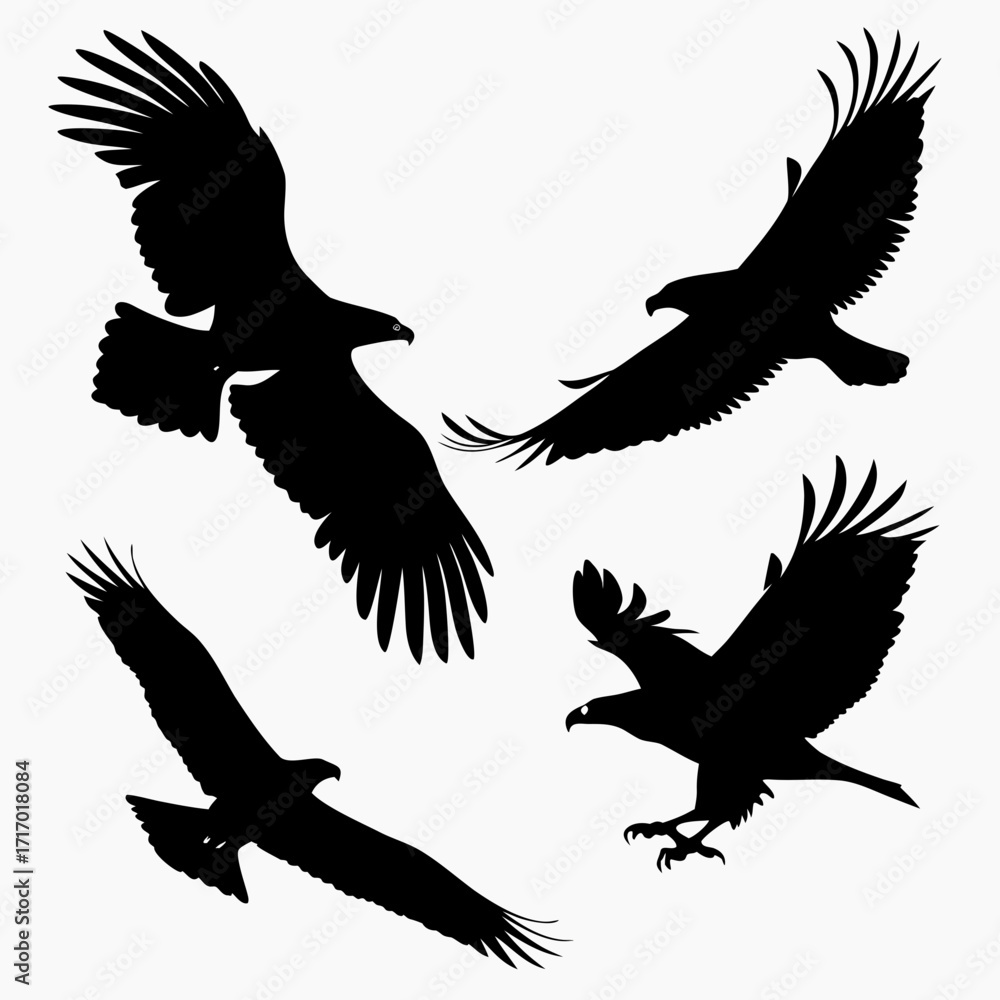 Fototapeta premium Four Eagles in Flight Silhouettes bird raptor