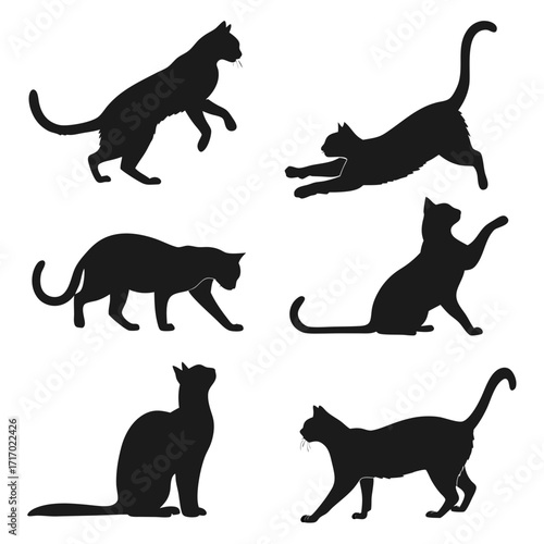 Six Black Cat Silhouettes in Various Poses animal feline