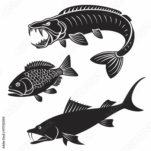 Three Silhouettes of Fierce and Predatory Fish sharp teeth