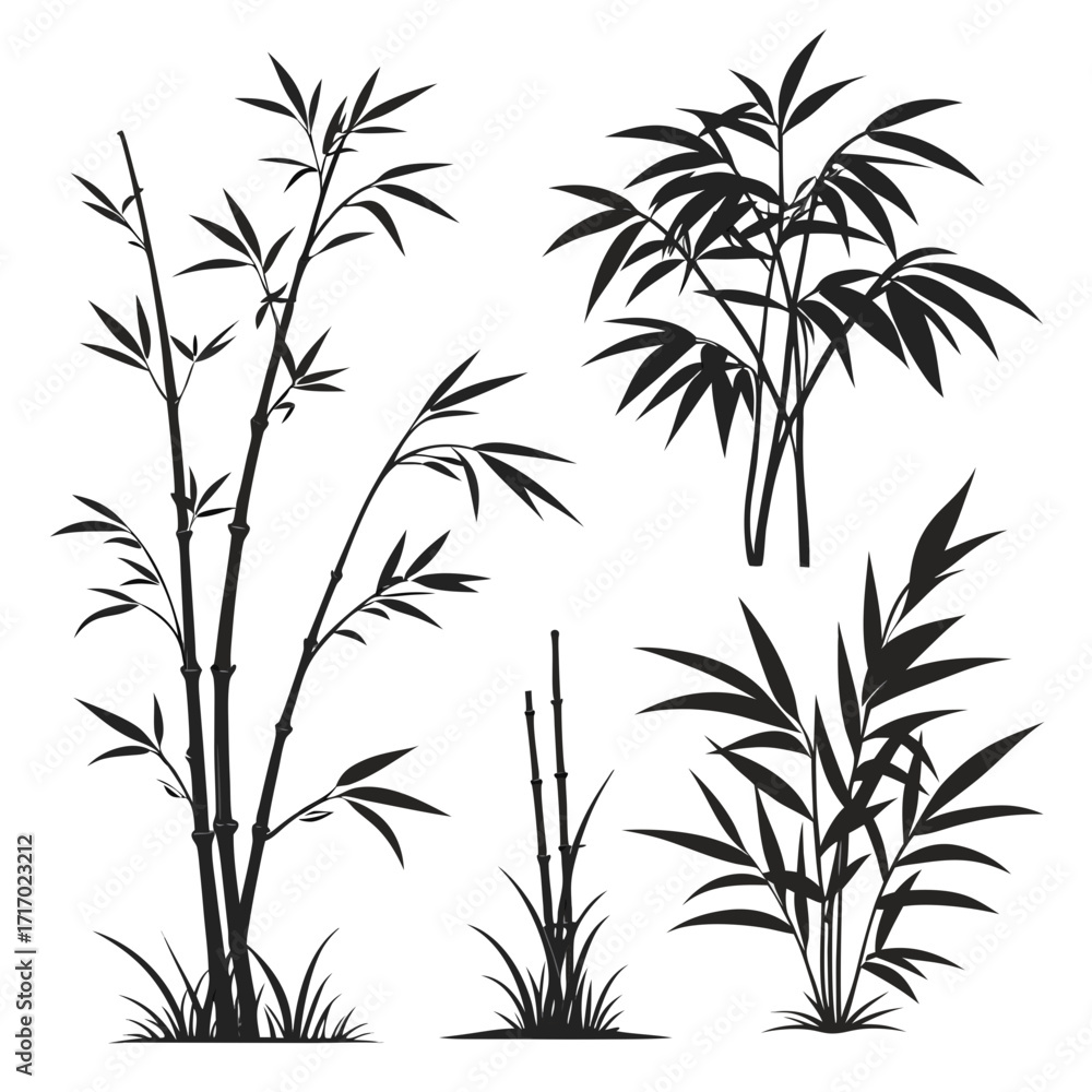 Fototapeta premium Various Bamboo Silhouettes on White Background plant
