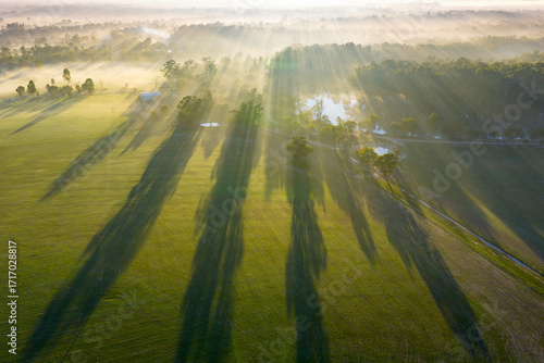 Aerial view of a foggy sunrise with gum trees casting long shadows over farmland at Moama