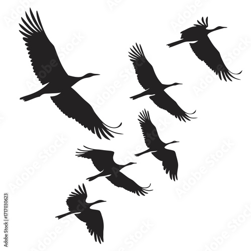 Cranes Silhouettes in Flight Formation bird flying