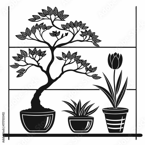 Silhouette of potted plants on shelves bonsai tulip