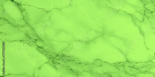 Elegant soft green marble texture with delicate natural veins, green marble with dark veining, luxury modern artistic surface for interior, decorative wall.