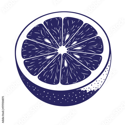 Stylized navy blue orange slice vector illustration isolated on a white background