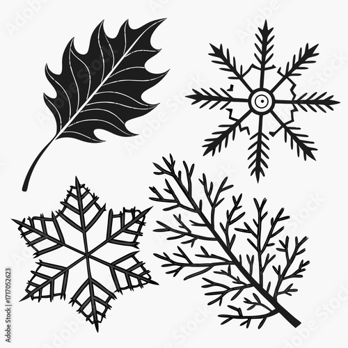 Leaf and Snowflakes with Branching Plant shapes